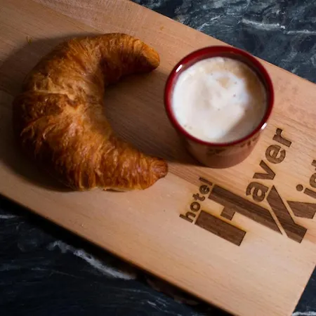 Haverkist 酒店 登博斯
